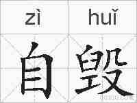 自毁的拼音