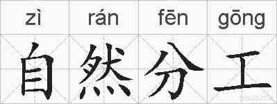 自然分工的拼音