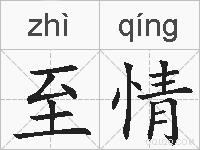 至情的拼音