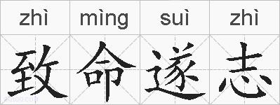 致命遂志的拼音