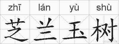 芝兰玉树的拼音