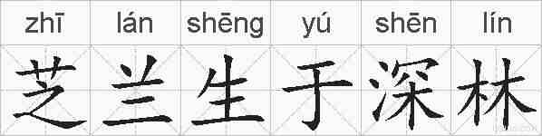 芝兰生于深林的拼音