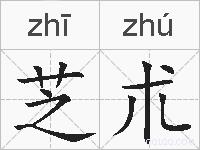 芝朮的拼音