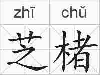芝楮的拼音