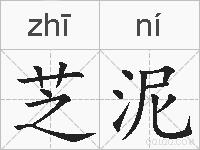 芝泥的拼音