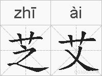 芝艾的拼音