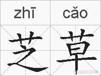 芝草的拼音