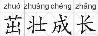 茁壮成长的拼音
