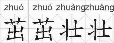 茁茁壮壮的拼音