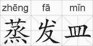 蒸发皿的拼音