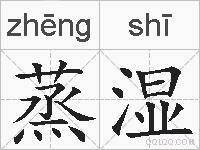 蒸湿的拼音