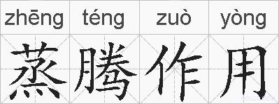 蒸腾作用的拼音