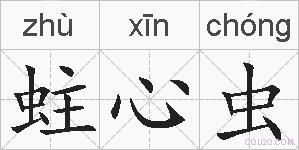蛀心虫的拼音