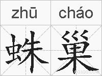 蛛巢的拼音