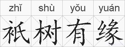 衹树有缘的拼音