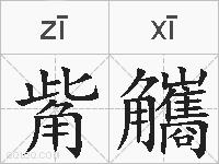 觜觿的拼音