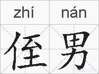 侄男的拼音