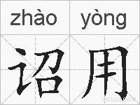 诏用的拼音