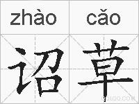 诏草的拼音