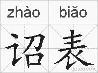 诏表的拼音