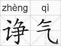 诤气的拼音