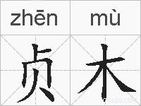 贞木的拼音