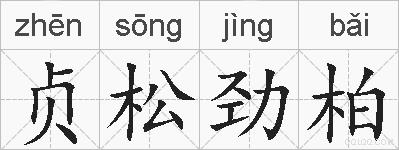 贞松劲柏的拼音