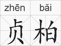 贞柏的拼音