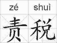 责税的拼音