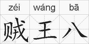 贼王八的拼音