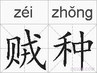 贼种的拼音