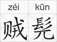 贼髡的拼音