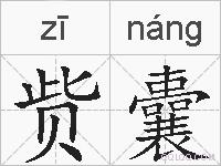赀囊的拼音