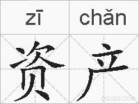 资产的拼音