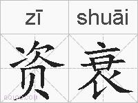 资衰的拼音