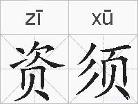 资须的拼音