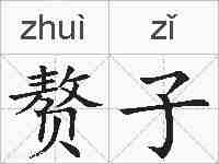 赘子的拼音
