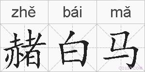 赭白马的拼音