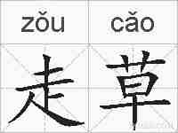 走草的拼音