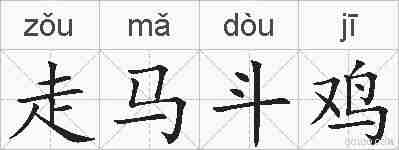 走马斗鸡的拼音