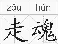 走魂的拼音