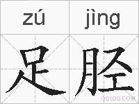 足胫的拼音