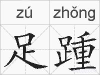 足踵的拼音