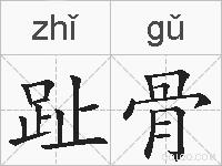 趾骨的拼音