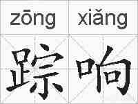踪响的拼音