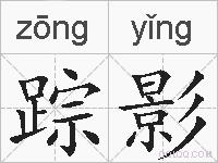 踪影的拼音