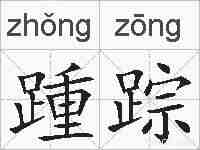 踵踪的拼音