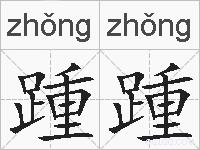 踵踵的拼音