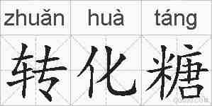 转化糖的拼音