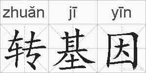 转基因的拼音